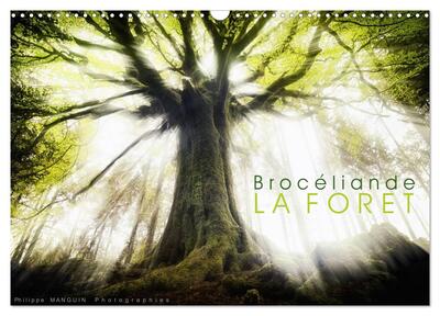 Image de BROCELIANDE, la forêt (Calendrier mural 2025 DIN A3 vertical), CALVENDO calendrier mensuel
