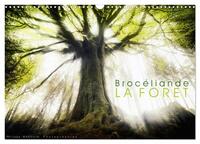 Image de BROCELIANDE, la forêt (Calendrier mural 2025 DIN A3 vertical), CALVENDO calendrier mensuel