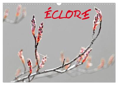 Image de ÉCLORE (Calendrier mural 2025 DIN A3 vertical), CALVENDO calendrier mensuel