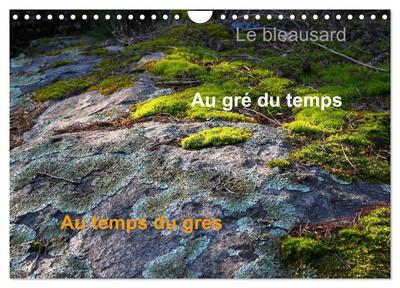 Image de Le Bleausard (Calendrier mural 2025 DIN A4 vertical), CALVENDO calendrier mensuel