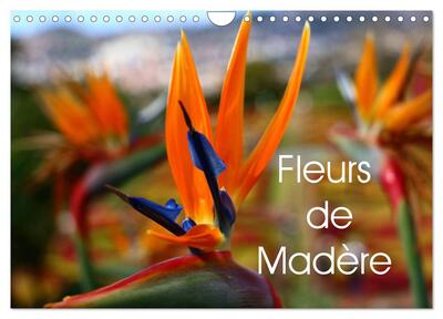 Picture of Fleurs de Madère (Calendrier mural 2025 DIN A4 vertical), CALVENDO calendrier mensuel