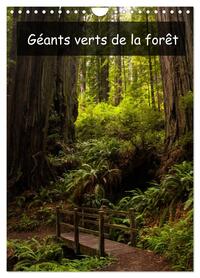 Image de Géants verts de la forêt (Calendrier mural 2025 DIN A4 horizontal), CALVENDO calendrier mensuel