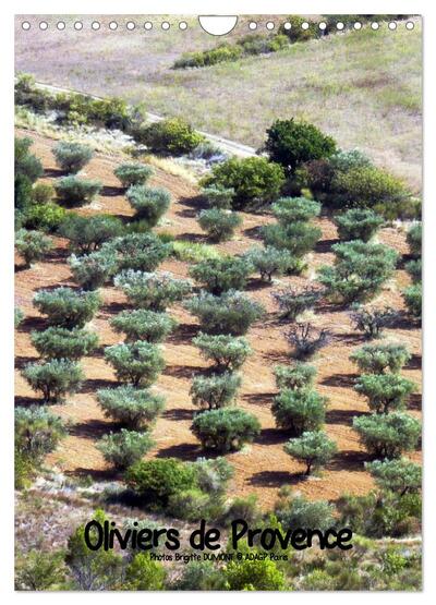 Image de Oliviers de Provence (Calendrier mural 2025 DIN A4 horizontal), CALVENDO calendrier mensuel
