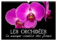 Image de Les Orchidées - La musique visuelle des fleurs (Calendrier mural 2025 DIN A3 vertical), CALVENDO calendrier mensuel