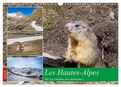Image de Les Hautes-Alpes sur les chemins des marmottes (Calendrier mural 2025 DIN A3 vertical), CALVENDO calendrier mensuel
