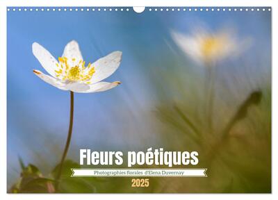 Image de Fleurs poétiques (Calendrier mural 2025 DIN A3 vertical), CALVENDO calendrier mensuel