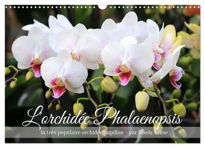 Image de L'orchidée Phalaenopsis (Calendrier mural 2025 DIN A3 vertical), CALVENDO calendrier mensuel