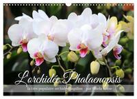 Image de L'orchidée Phalaenopsis (Calendrier mural 2025 DIN A3 vertical), CALVENDO calendrier mensuel