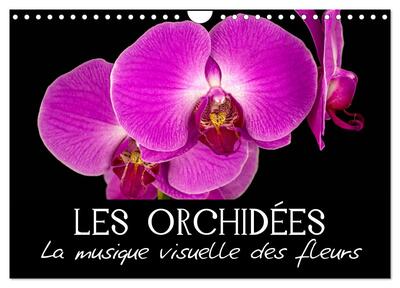 Image de Les Orchidées - La musique visuelle des fleurs (Calendrier mural 2025 DIN A4 vertical), CALVENDO calendrier mensuel