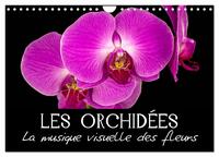 Image de Les Orchidées - La musique visuelle des fleurs (Calendrier mural 2025 DIN A4 vertical), CALVENDO calendrier mensuel