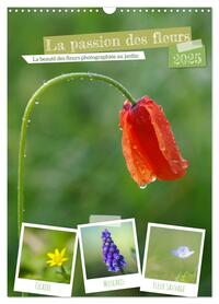 Image de La passion des fleurs (Calendrier mural 2025 DIN A3 horizontal), CALVENDO calendrier mensuel