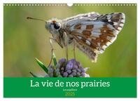 Image de La vie de nos prairie, les papillons (Calendrier mural 2025 DIN A3 vertical), CALVENDO calendrier mensuel