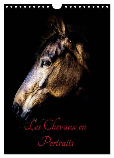 Image de Chevaux en Portraits (Calendrier mural 2025 DIN A4 horizontal), CALVENDO calendrier mensuel