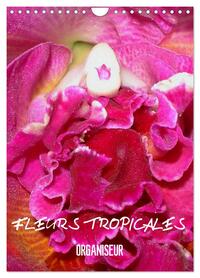 Image de Fleurs tropicales / organiseur (Calendrier mural 2025 DIN A4 horizontal), CALVENDO calendrier mensuel