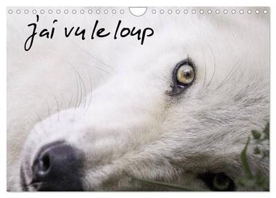 Image de J'ai vu le loup (Calendrier mural 2025 DIN A4 vertical), CALVENDO calendrier mensuel