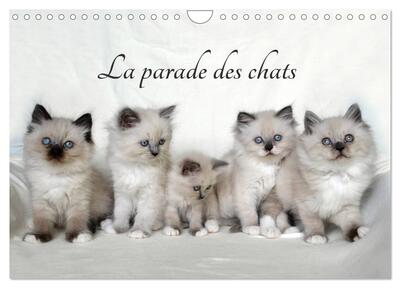 Image de La parade des chats (Calendrier mural 2025 DIN A4 vertical), CALVENDO calendrier mensuel