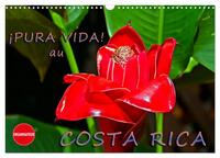Image de ¡Pura Vida! au Costa Rica (Calendrier mural 2025 DIN A3 vertical), CALVENDO calendrier mensuel
