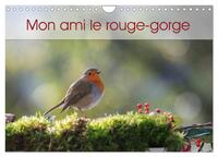 Image de Mon ami le rouge-gorge (Calendrier mural 2025 DIN A4 vertical), CALVENDO calendrier mensuel