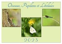 Picture of Oiseaux, Papillons et Libellules (Calendrier mural 2025 DIN A3 vertical), CALVENDO calendrier mensuel