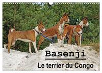 Image de Basenji Le terrier du Congo (Calendrier mural 2025 DIN A3 vertical), CALVENDO calendrier mensuel