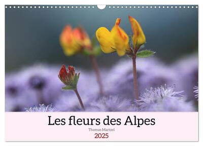 Image de Les fleurs des Alpes (Calendrier mural 2025 DIN A3 vertical), CALVENDO calendrier mensuel