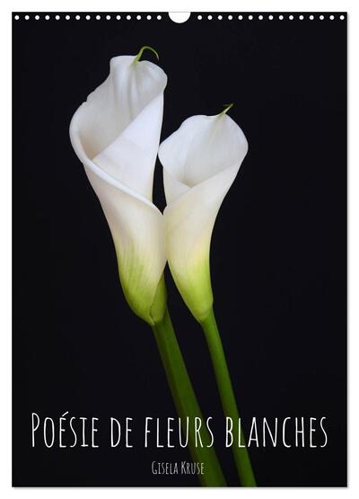 Image de Poésie de fleurs blanches (Calendrier mural 2025 DIN A3 horizontal), CALVENDO calendrier mensuel