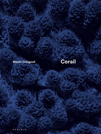 Image de Corail