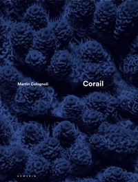 Image de Corail