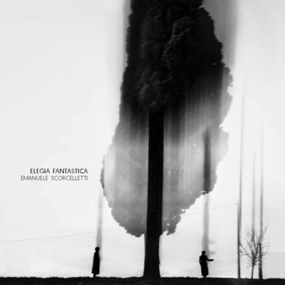 Image de Elegia fantastica