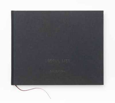 Picture of USEFUL LIES