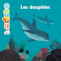 Image de Les dauphins