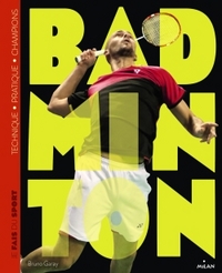 Picture of Badminton