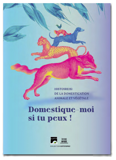 Picture of Domestique-moi si tu peux !