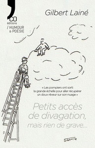 Picture of Petits accès de divagation, mais rien de grave…