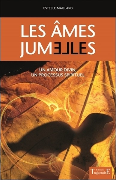 Picture of Les âmes jumelles - Un amour divin - Un processus spirituel