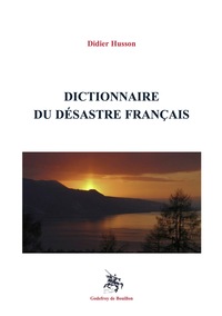 Picture of Dictionnaire du désastre français