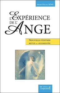 Image de L'Expérience de l'Ange