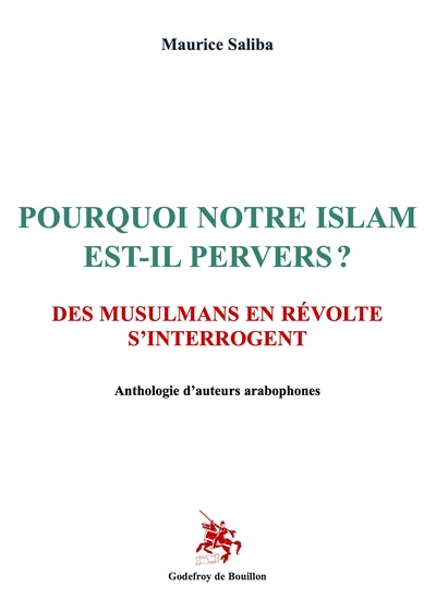 Image de POURQUOI NOTRE ISLAM EST-IL PERVERS ?