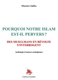Image de POURQUOI NOTRE ISLAM EST-IL PERVERS ?