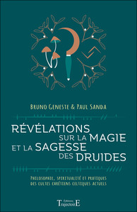 Image de Révélations sur la magie et la sagesse des druides - Philosophie, spiritualité et pratiques des cultes chrétiens celtiques actuels