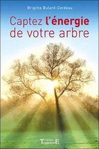 Picture of Captez l'énergie de votre arbre