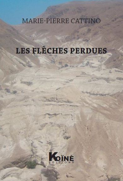Image de Les flèches perdues