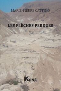 Image de Les flèches perdues