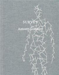 Picture of Antony Gormley Survey /anglais
