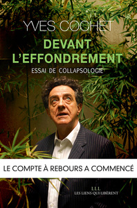 Image de Devant l'effondrement
