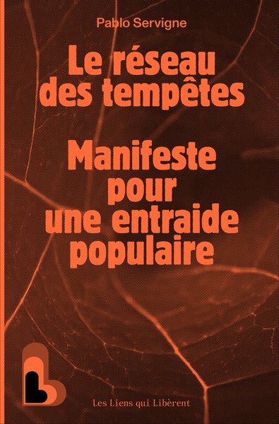 Image de Le réseau des tempêtes