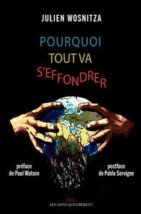 Picture of Pourquoi tout va s'effondrer