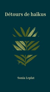 Image de Détours de haïkus