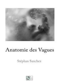 Image de Anatomie des vagues