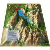 Image de CARTE EN RELIEF DU LAC D'ANNECY